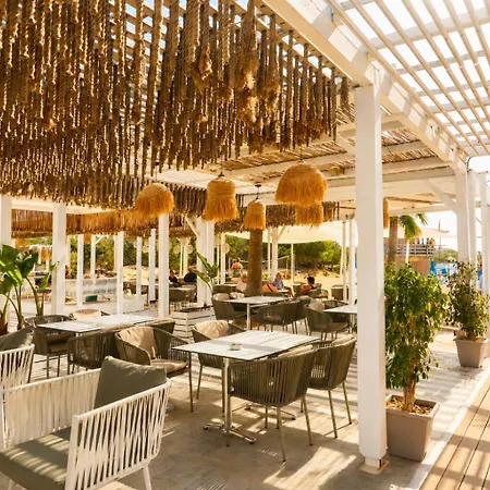 Dome Marina &