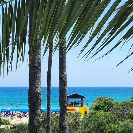 Dome Marina & 4* Agia Napa